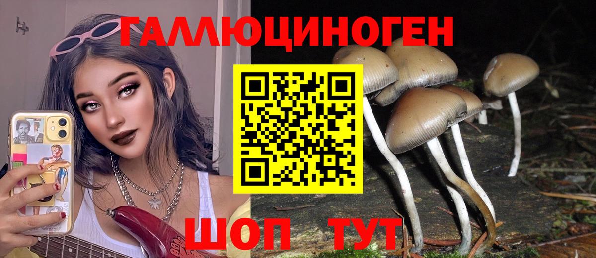 Дедовск  Галлюциногенные грибы Psilocybe  Вход с VPN 
