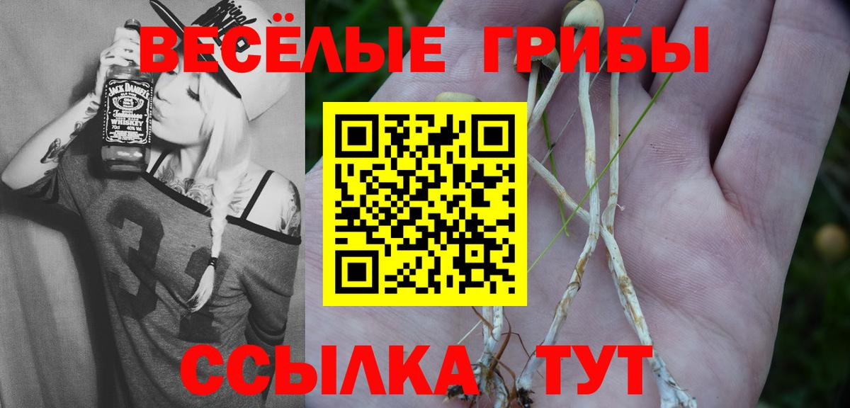 Галлюциногенные грибы Psilocybine cubensis Дедовск